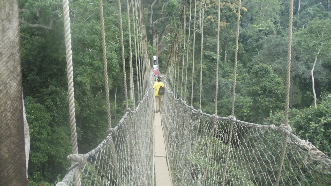 past conference photo